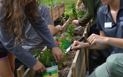Blooming Beginnings: Junior Green Thumbs’ First Class in July