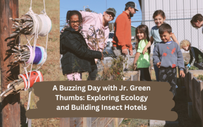 A Buzzing Day with Jr. Green Thumbs: Exploring Ecology and Building Insect Hotels